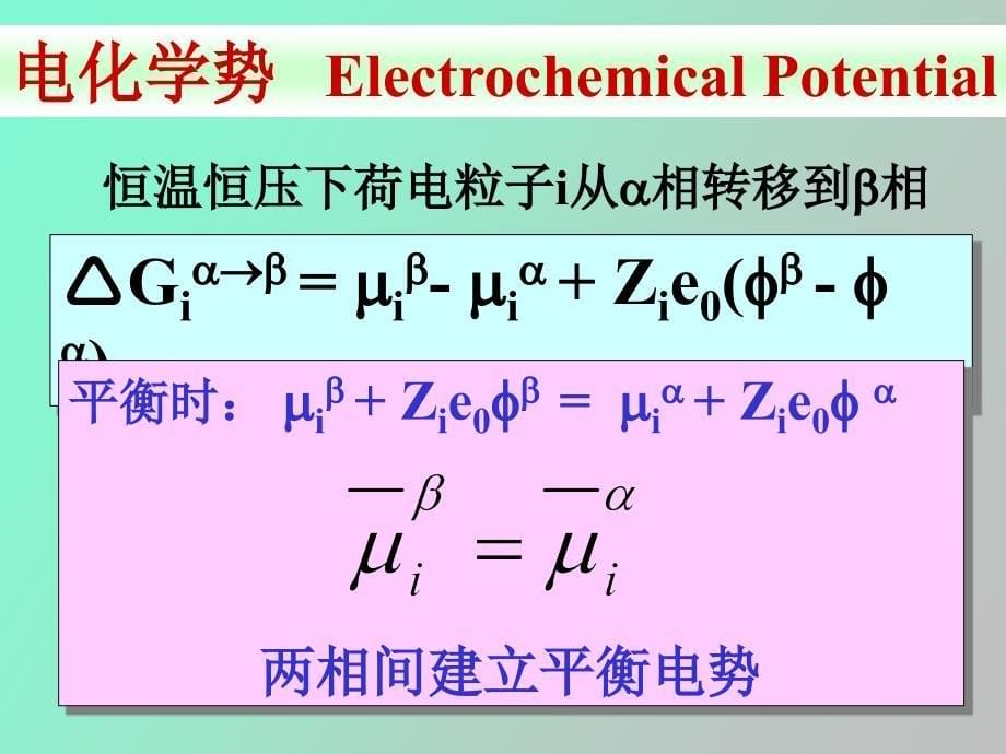 电化学现象普遍存在_第5页