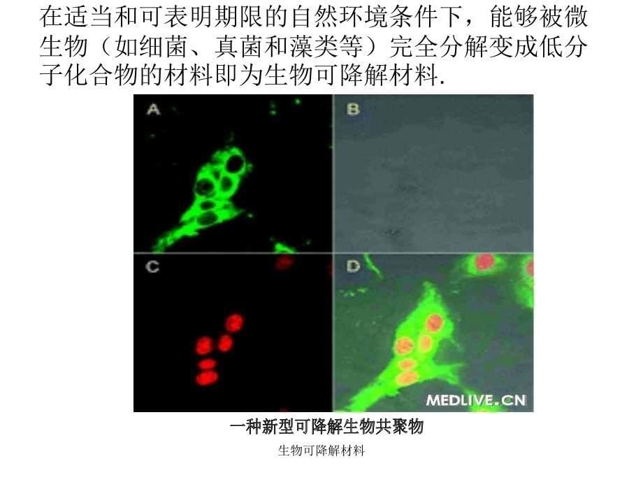 生物可降解材料课件_第5页