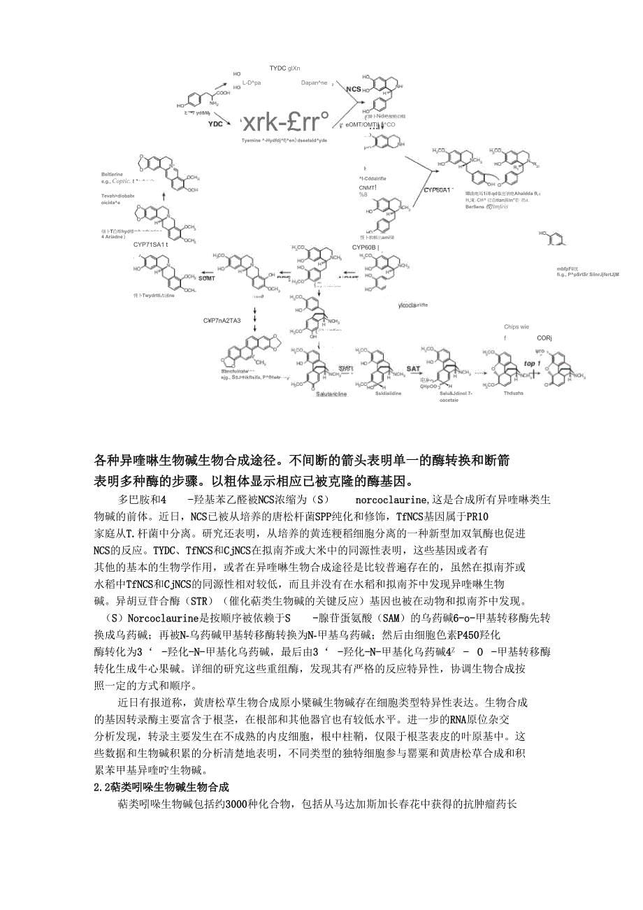 细胞培养和药用化合物的合成_第5页