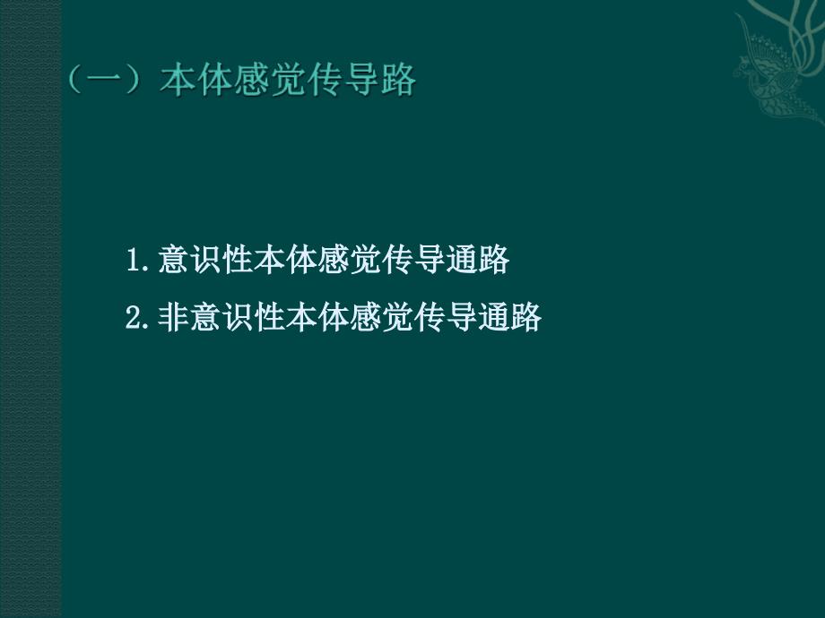 神经系统的传导通路_第4页