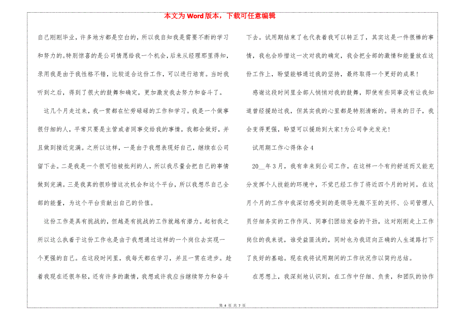 2022试用期工作总结及个人心得_第4页