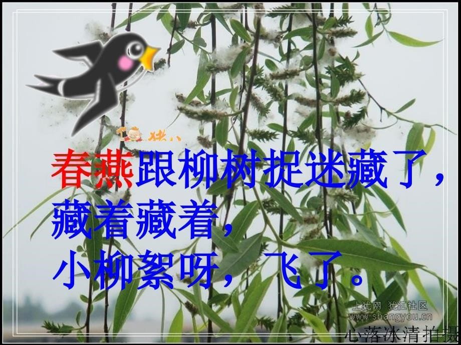 柳树醒了课件_第5页