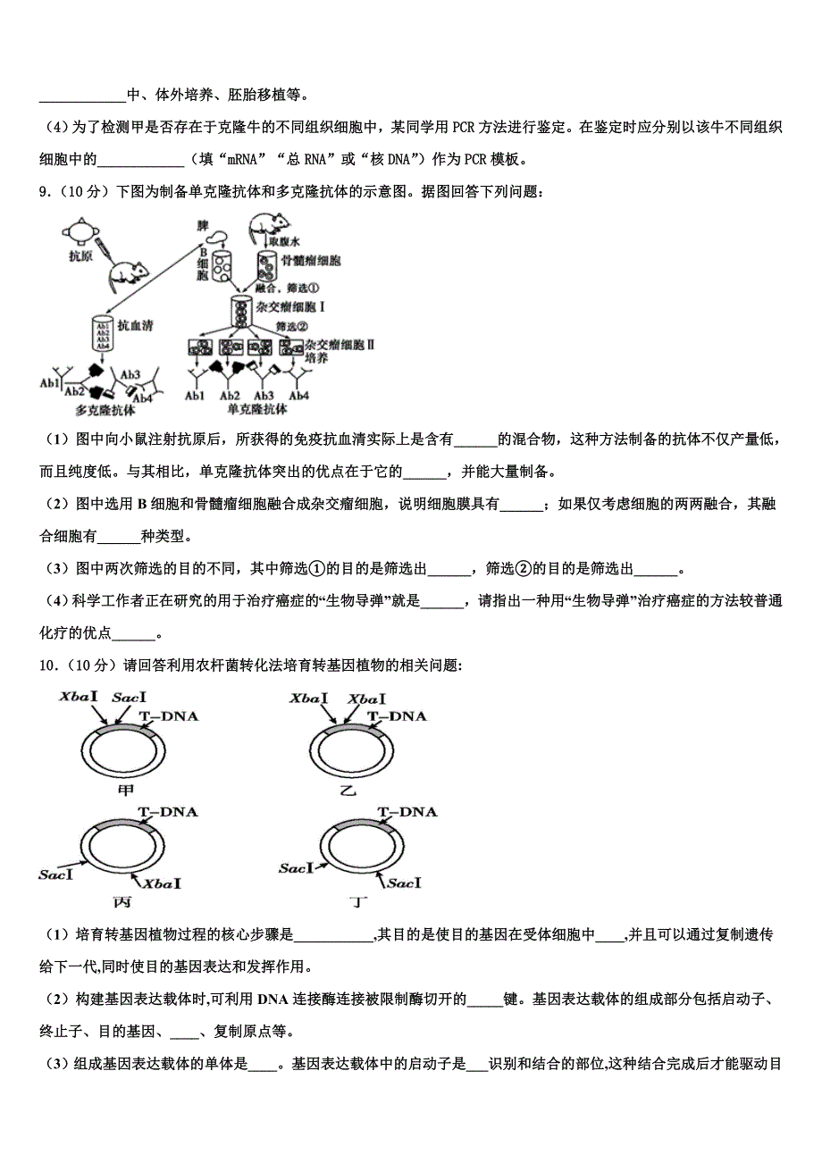 2023年广东省韶关市新丰一中高二生物第二学期期末达标检测试题（含解析）.doc_第3页