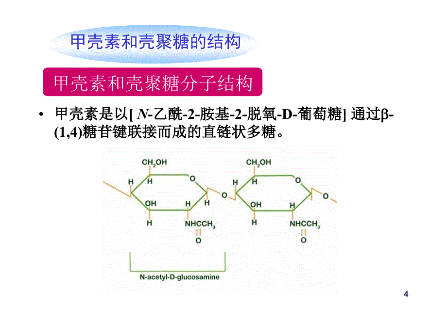 第4章甲壳素和壳聚糖天然高分子材料ppt课件_第4页