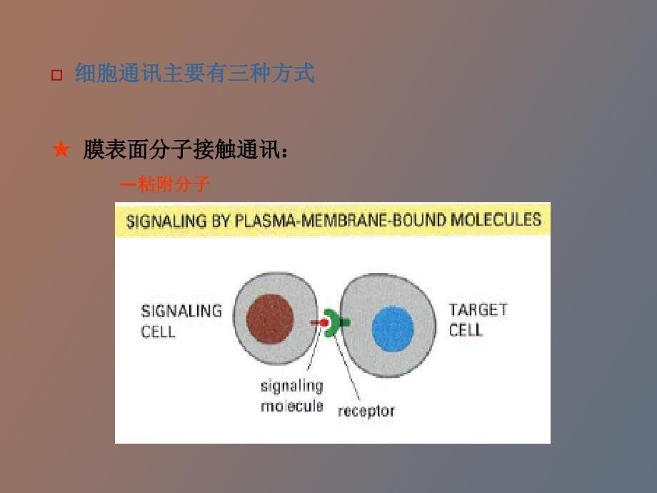 细胞信号转导与疾病_第5页