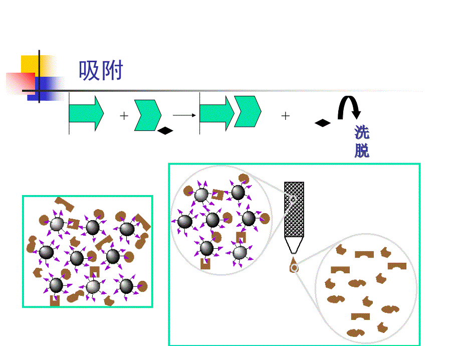 亲和层析原理和步骤_第4页