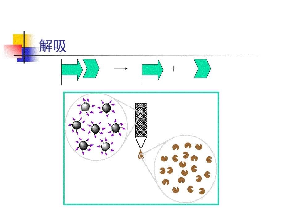 亲和层析原理和步骤_第5页