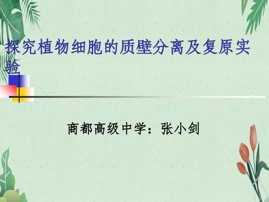 生物必修一4探究植物细胞质壁分离实验说课(共18张)(完美版教学课件)_第1页