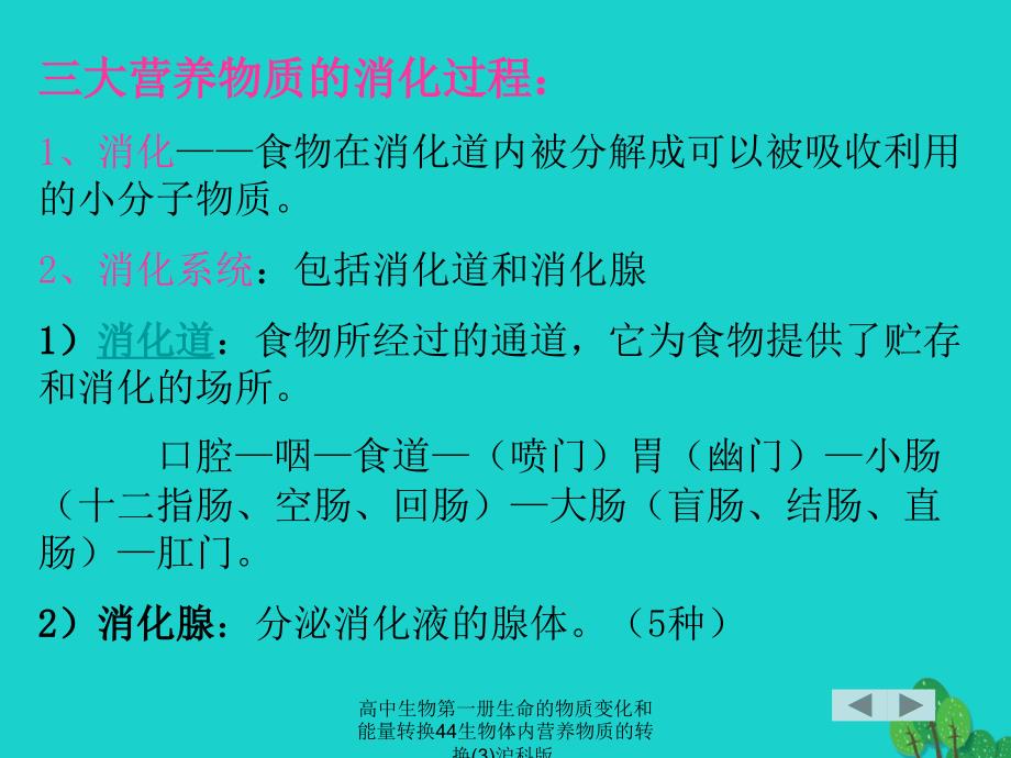 高中生物第一册生命的物质变化和能量转换44生物体内营养物质的转换3沪科版课件_第3页