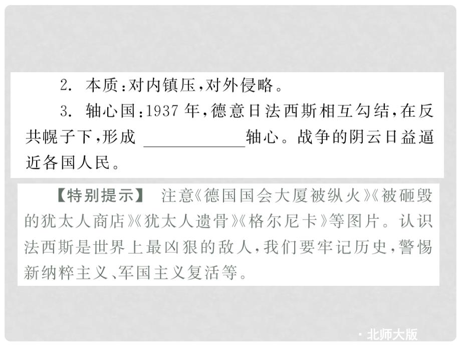 江苏省连云港东海县平明镇中学九年级历史下册 第2单元 全球战火再起复习课件 北师大版）_第4页