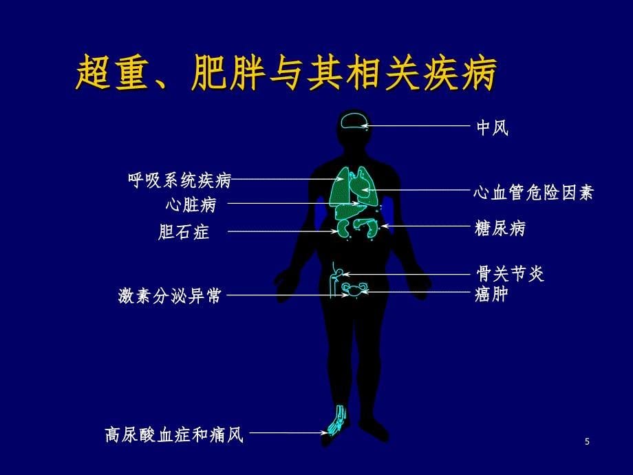 中国成人超重和肥胖症预防控制指南1PPT课件_第5页