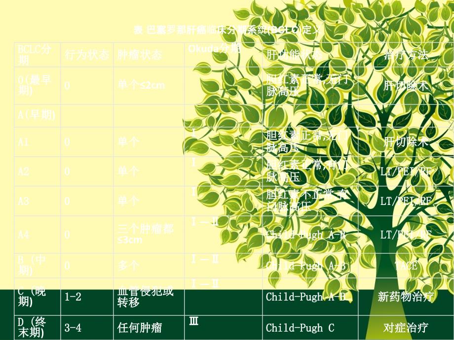 肝癌分期.ppt_第4页