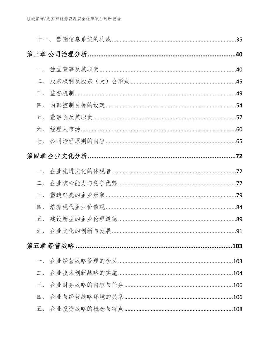 大安市能源资源安全保障项目可研报告（模板参考）_第3页