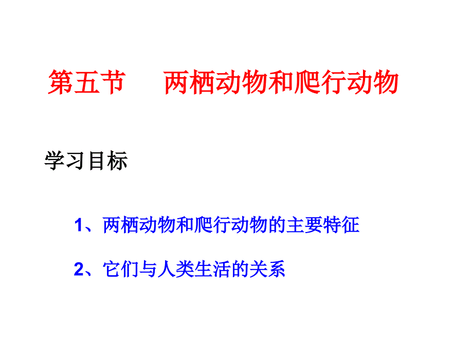 515两栖类和爬行类_第1页