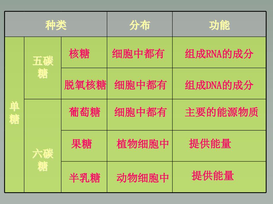 高三生物精品课件：第二章第四节 细胞中的糖类和脂质_第4页