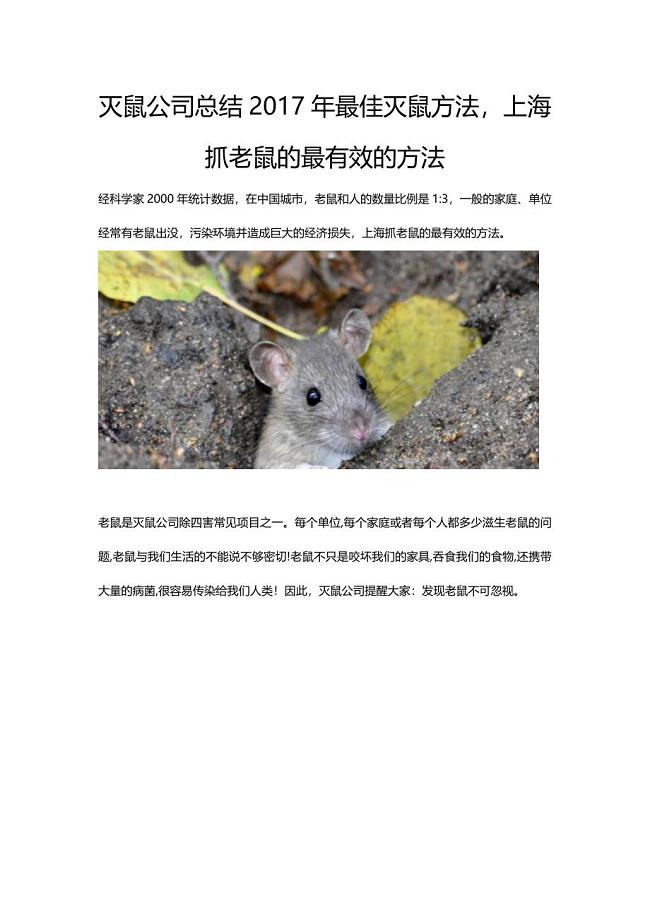 灭鼠公司总结2017年最佳灭鼠方法,上海抓老鼠的最有效的方法