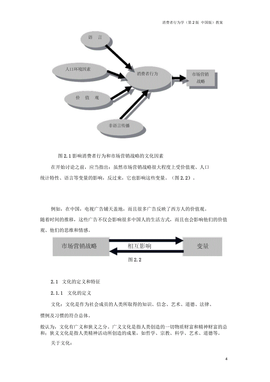 消费者行为学第2版中国版教案_第4页