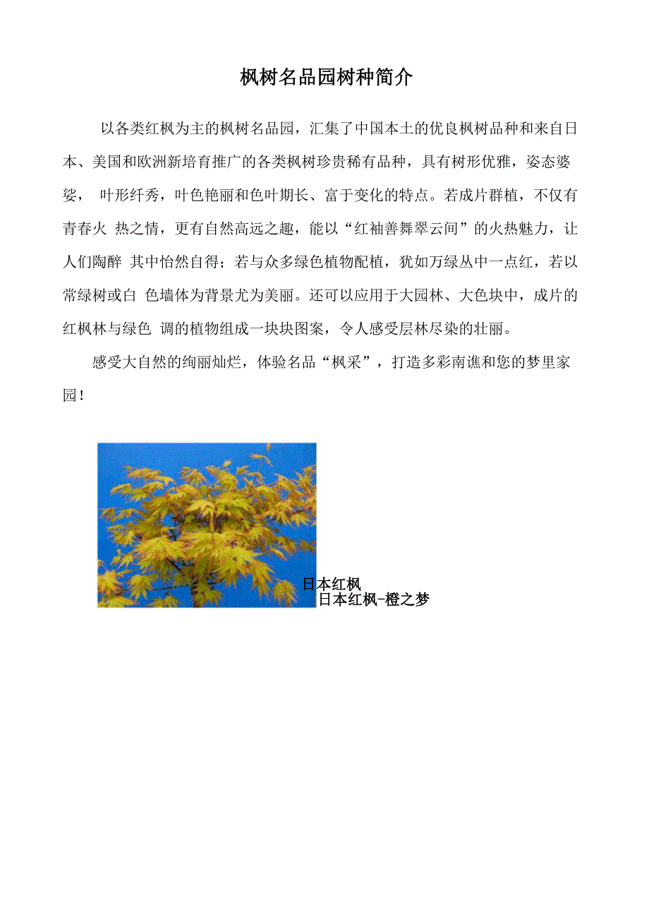 枫树名品园宣传牌_第1页