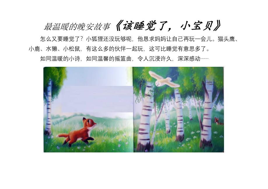 绘本导读《该睡觉了小宝贝》_第1页