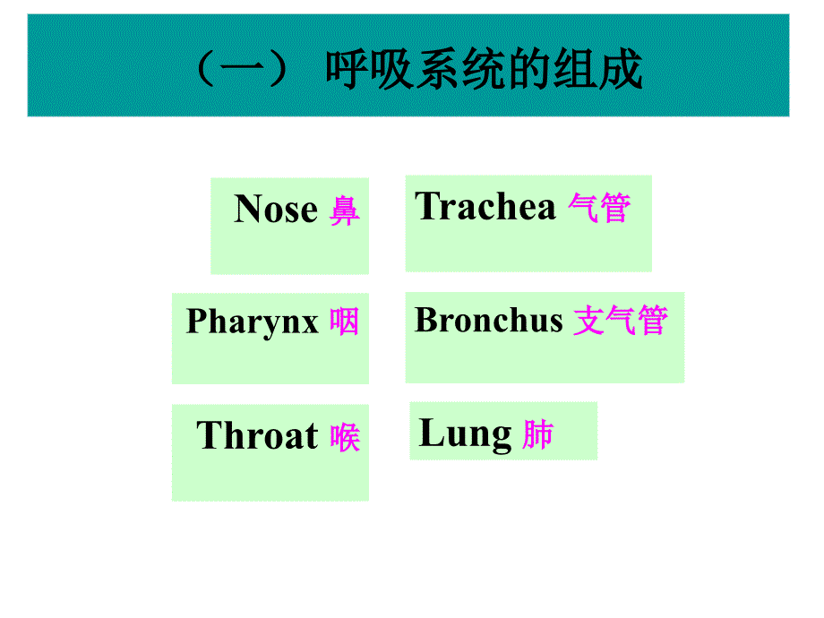 医学课件第29章呼吸系统药理_第2页