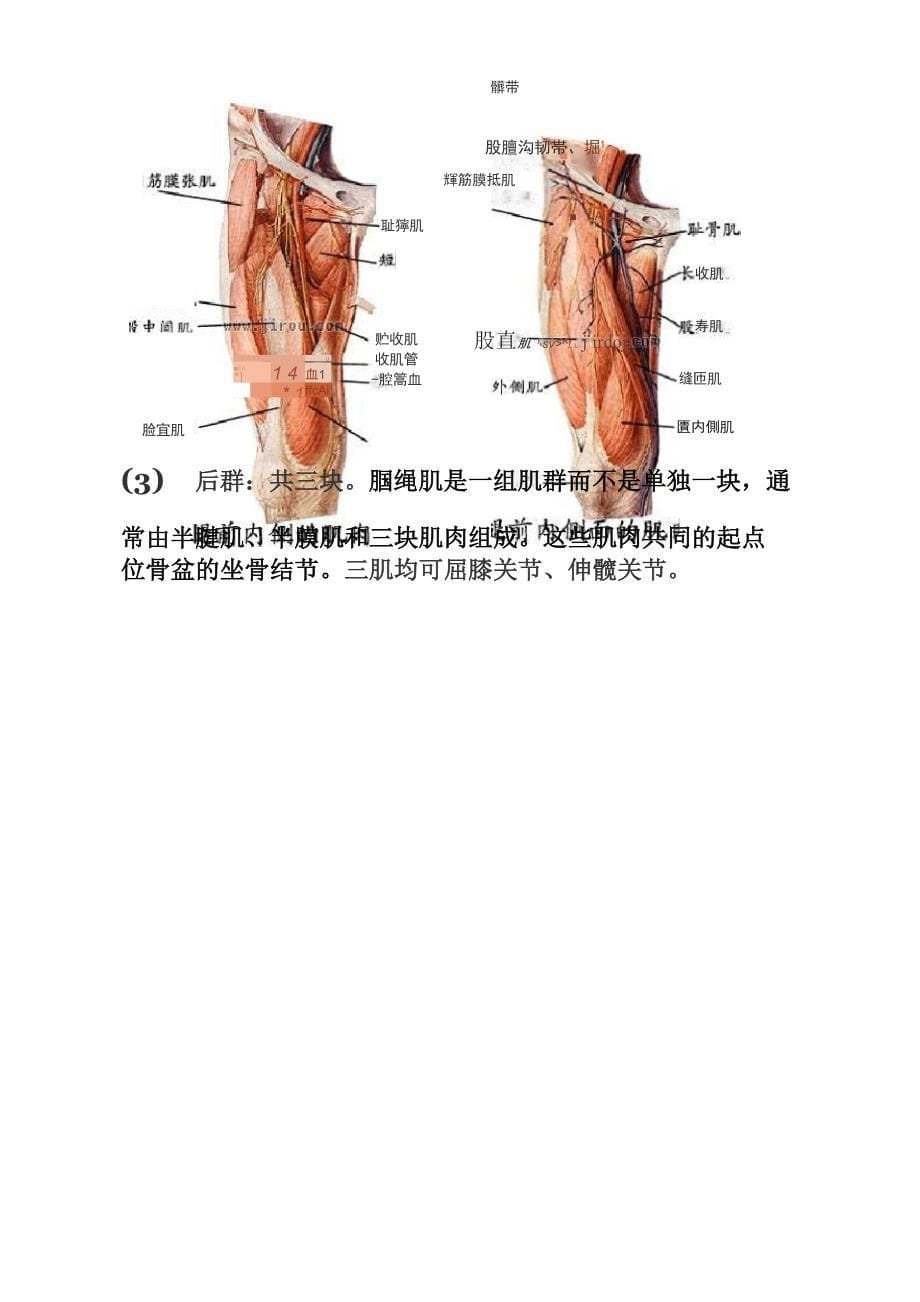 膝过伸的原因及康复_第5页