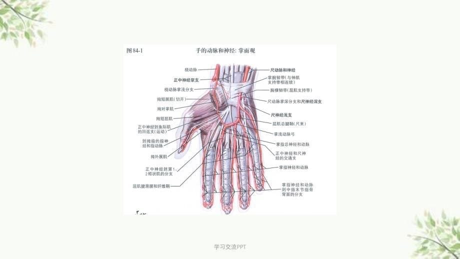 腕管综合征最新课件_第5页