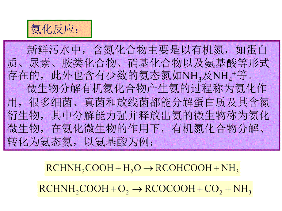 脱氮除磷教学提纲_第4页