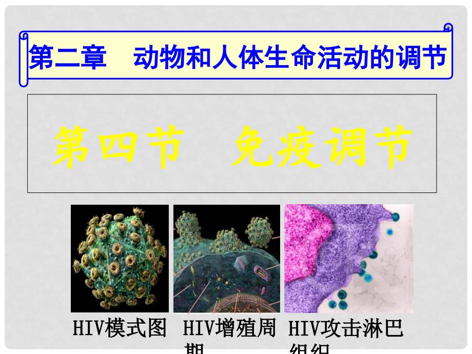 湖南省长沙市高中生物 2.4 免疫调节课件（2）新人教必修2_第4页