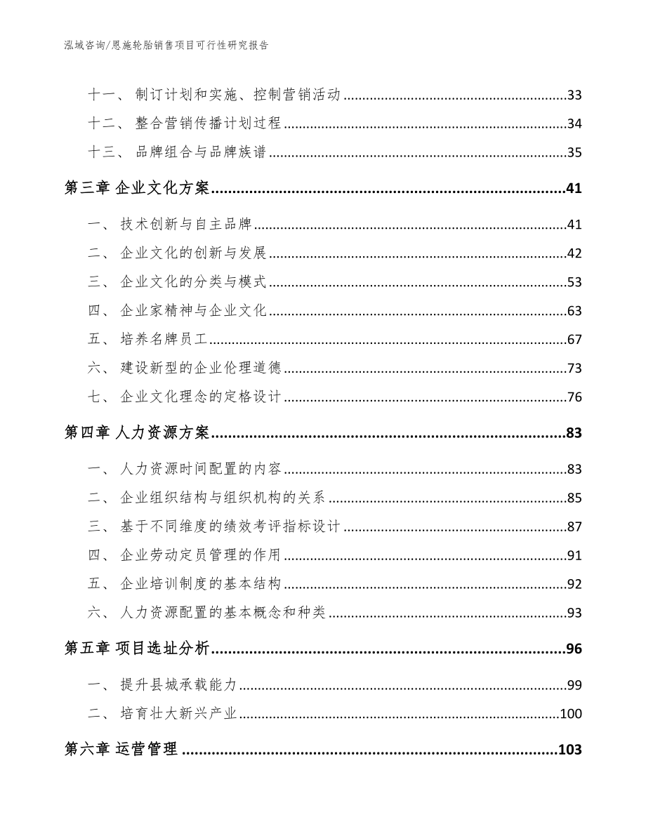 恩施轮胎销售项目可行性研究报告（模板范文）_第3页