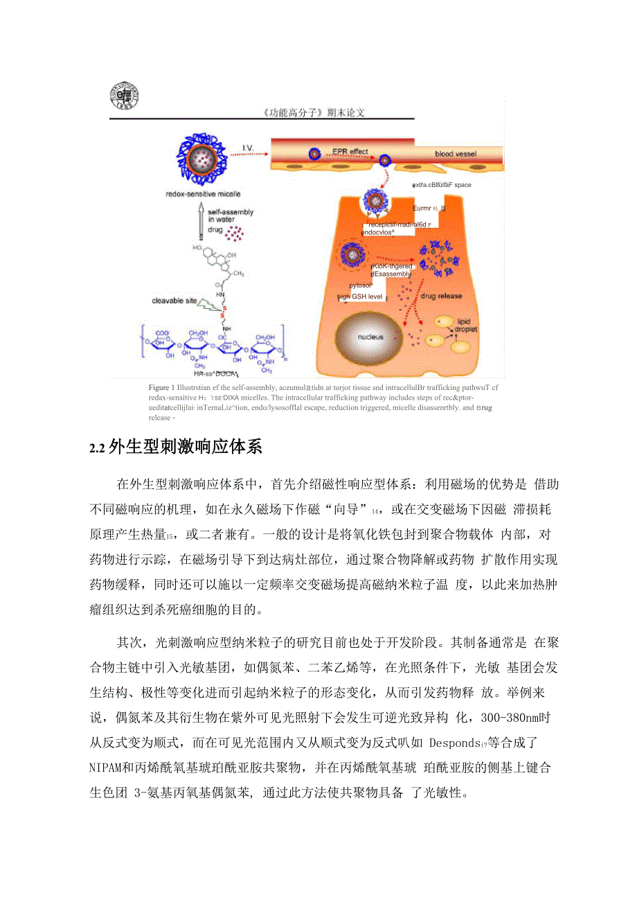 刺激响应型聚合物纳米药物载体递药的进展与思考_第4页