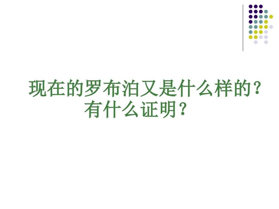 罗布泊消逝的仙湖课件公开课_第5页