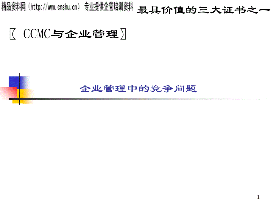 企业管理中的竞争问题ppt_第1页