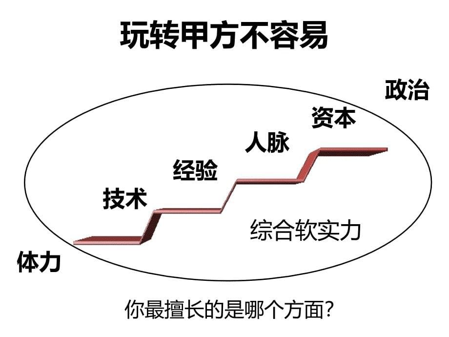 大项目售前计划_第5页