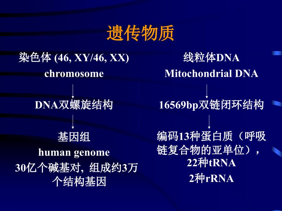 某大学第一医院儿科遗传性疾病医疗管理知识PPT课件_第4页