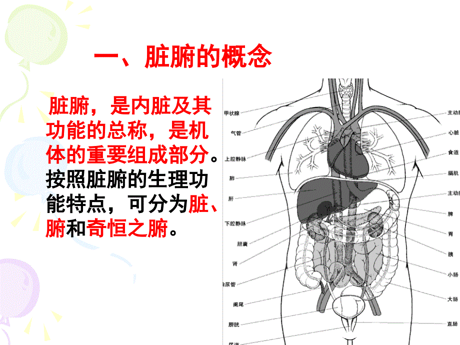 中兽医学第二章脏腑_第3页