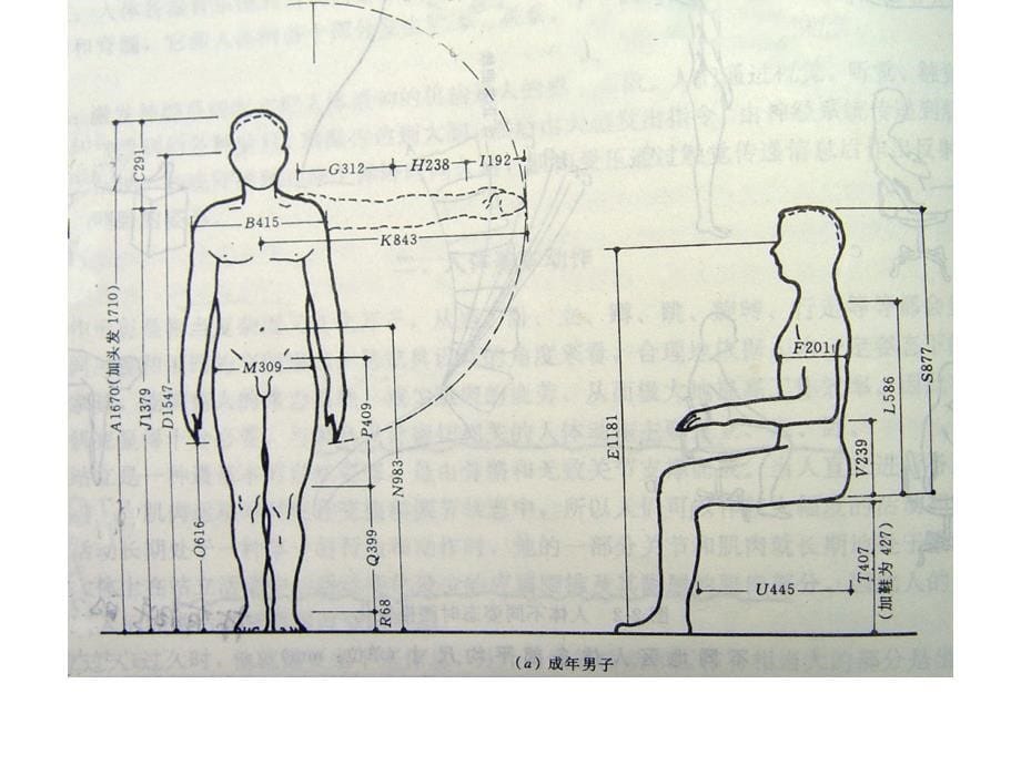 人体机能与家具_第5页