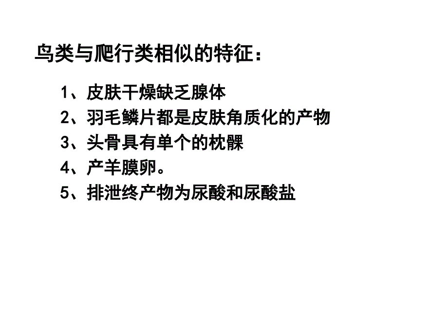 大学动物学鸟纲_第4页