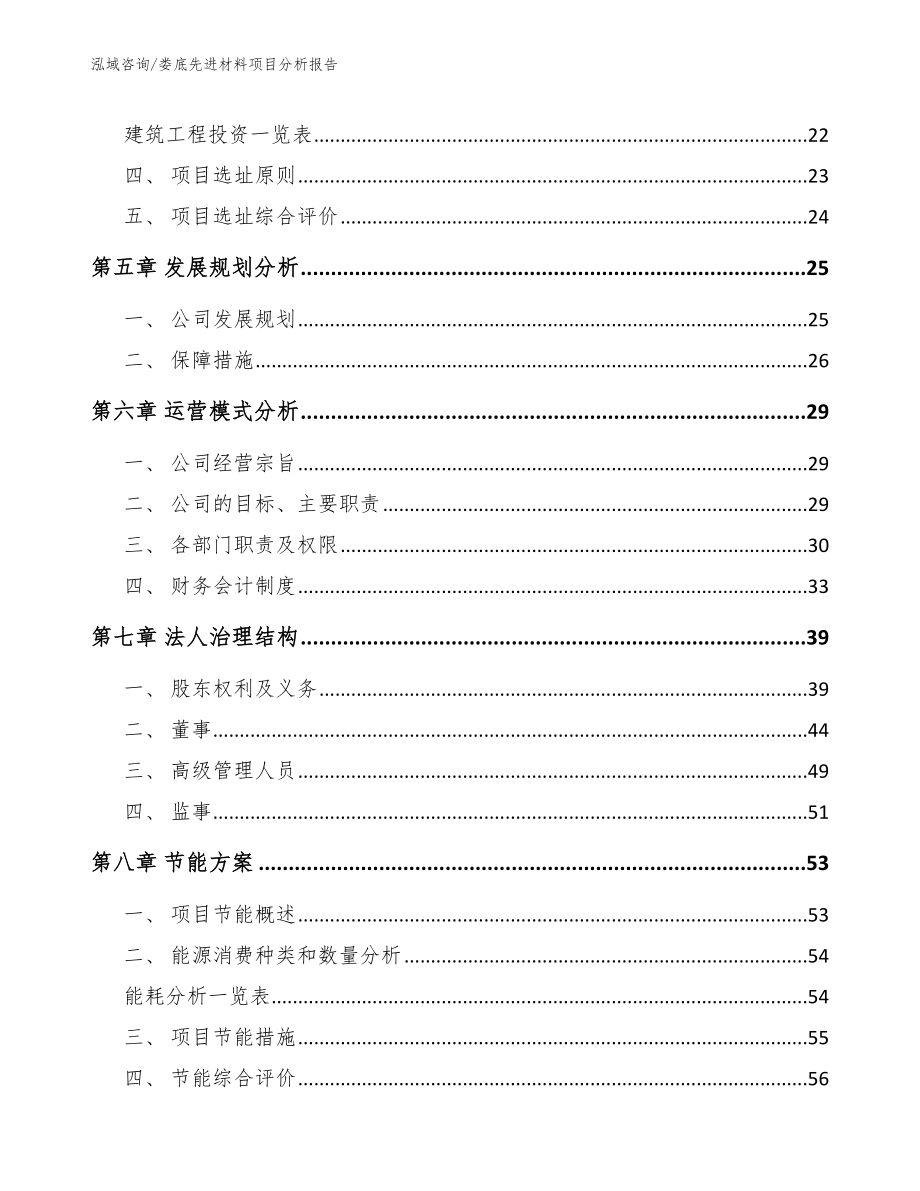 娄底先进材料项目分析报告_第3页