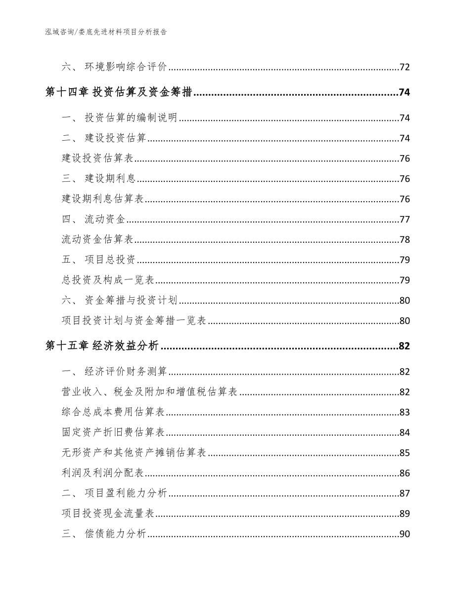 娄底先进材料项目分析报告_第5页