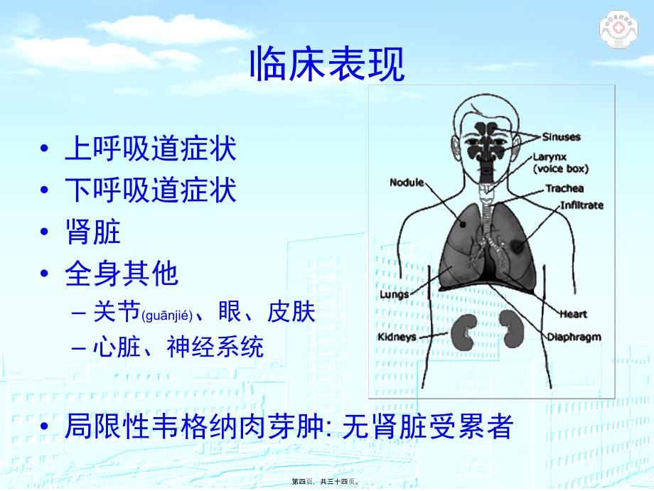 Wegener肉芽肿课件_第4页