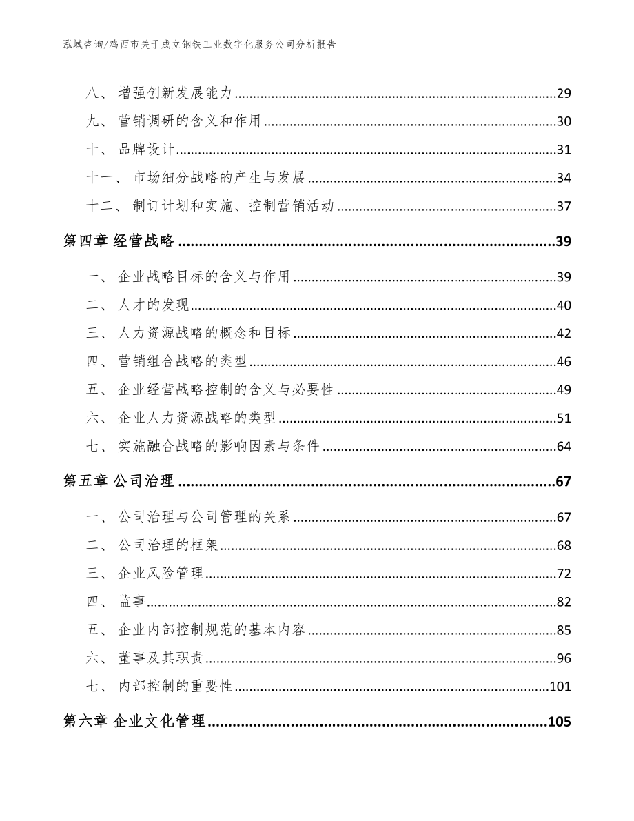 鸡西市关于成立钢铁工业数字化服务公司分析报告模板_第2页