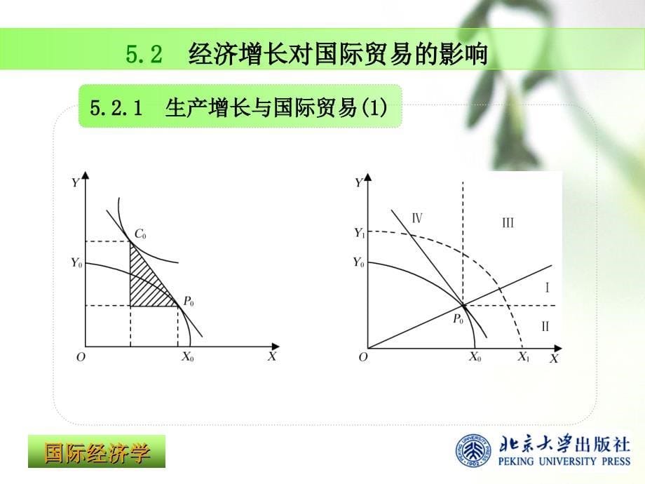 经济增长与国际贸易_第5页