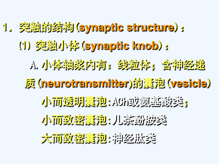 神经元间的信息传递_第3页