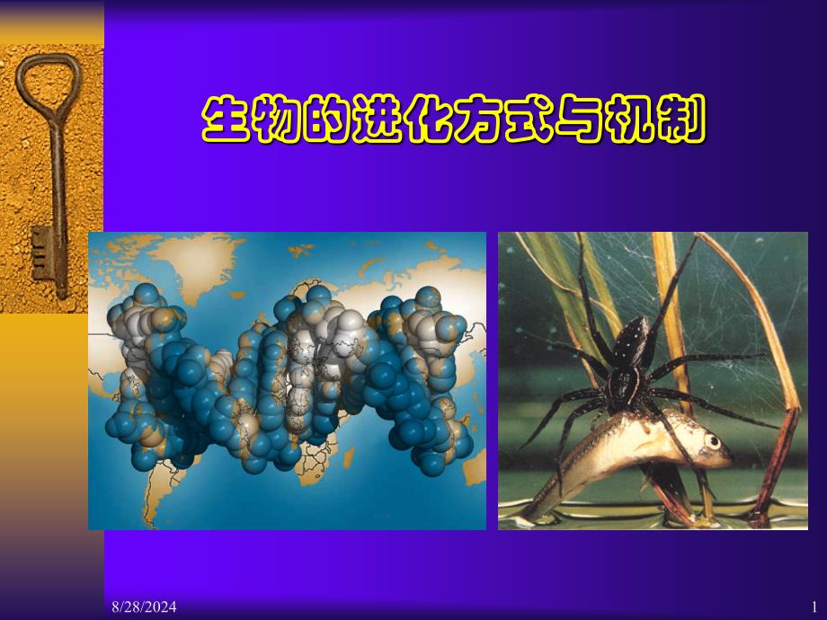 进化生物学：6 生物进化方式－小进化_第1页