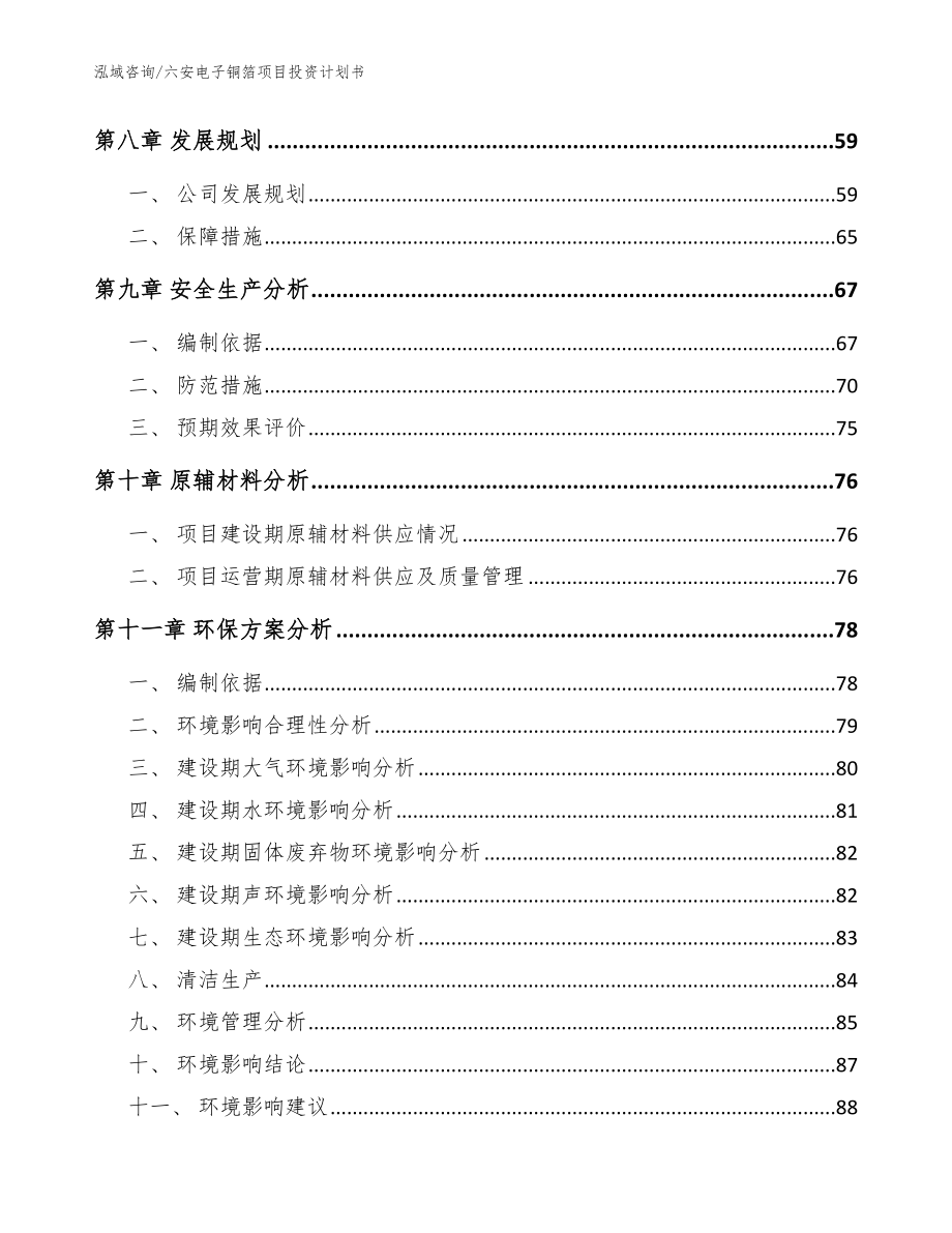 六安电子铜箔项目投资计划书【参考范文】_第3页