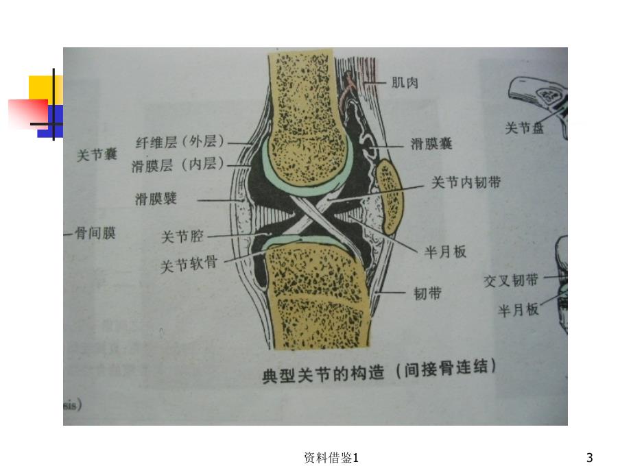 关节活动度训练ROM训练（行业荟萃）_第3页