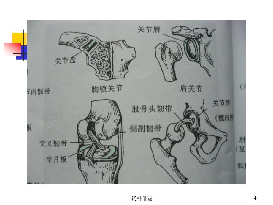 关节活动度训练ROM训练（行业荟萃）_第4页