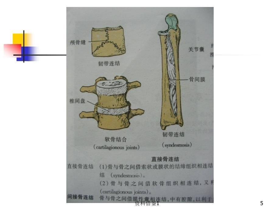 关节活动度训练ROM训练（行业荟萃）_第5页