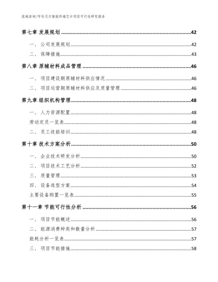 呼伦贝尔智能终端芯片项目可行性研究报告【范文模板】_第5页