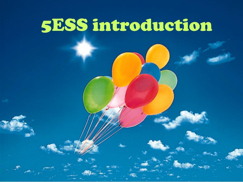 5ESS hardware and data provision one day_第1页